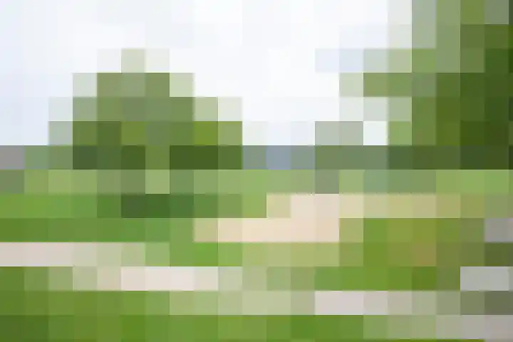 Melissekade 103 Utrecht thumbnail 34