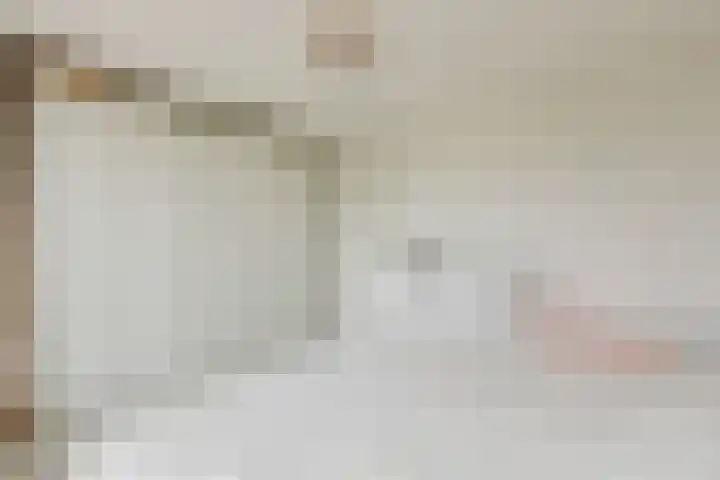 Melissekade 103 Utrecht thumbnail 8