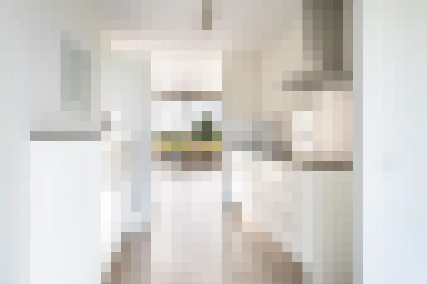 Melissekade 129 Utrecht thumbnail 8