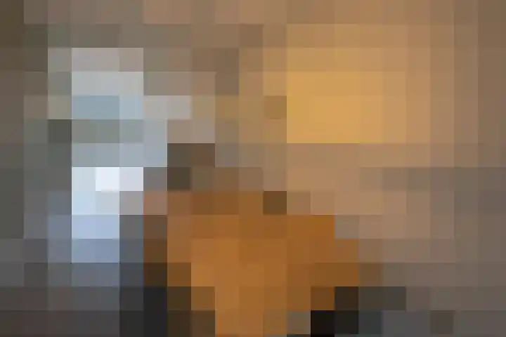 Melissekade 147 Utrecht thumbnail 10