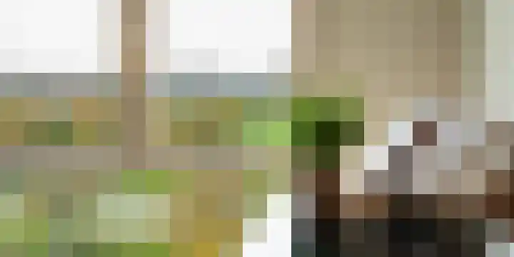 Melissekade 147 Utrecht thumbnail 12