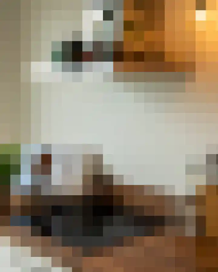 Melissekade 147 Utrecht thumbnail 13