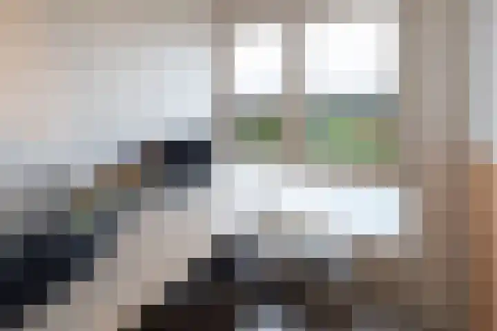 Melissekade 147 Utrecht thumbnail 16