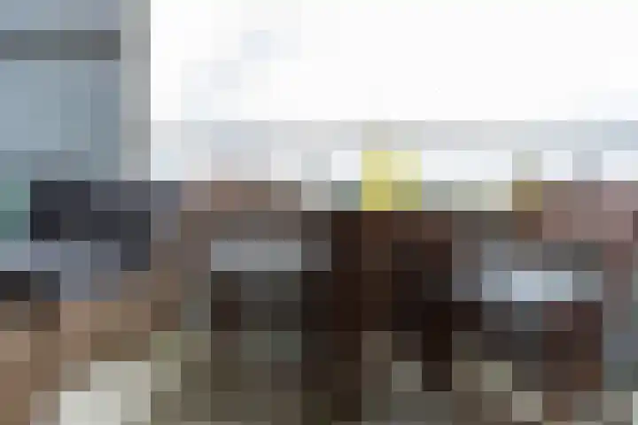 Melissekade 147 Utrecht thumbnail 18