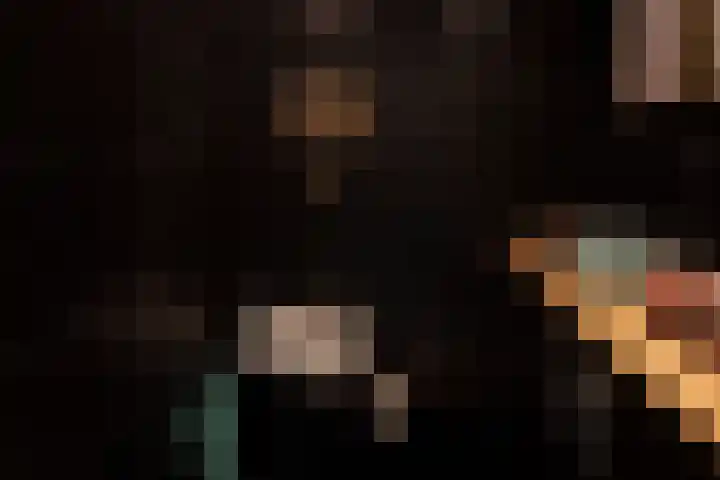Melissekade 147 Utrecht thumbnail 19
