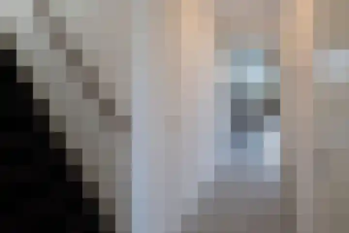 Melissekade 147 Utrecht thumbnail 20