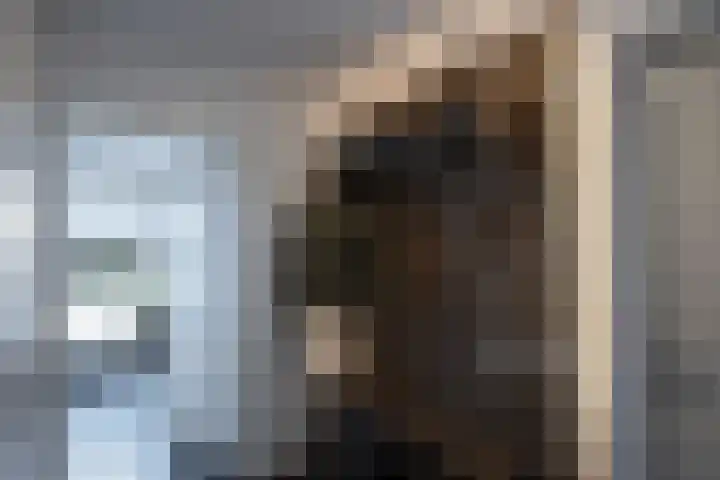 Melissekade 147 Utrecht thumbnail 22