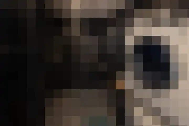 Melissekade 147 Utrecht thumbnail 25