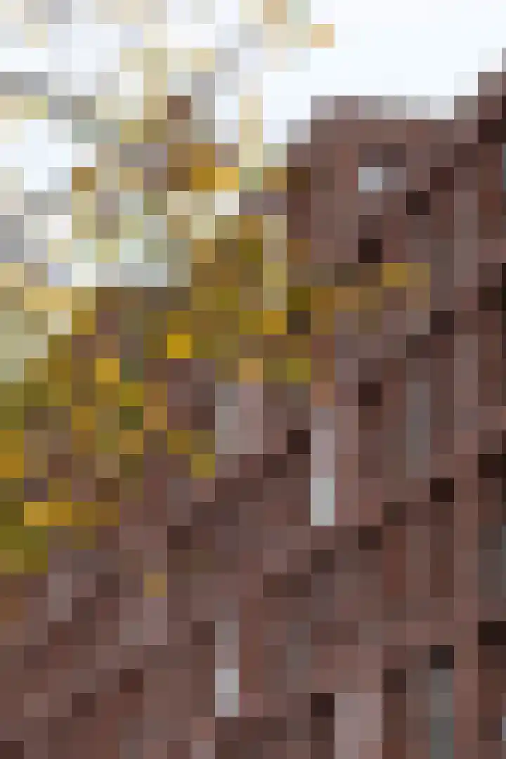 Melissekade 147 Utrecht thumbnail 28