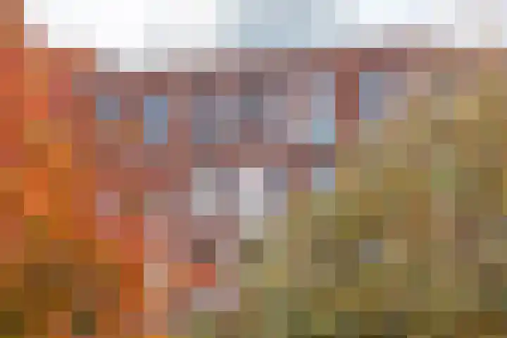 Melissekade 147 Utrecht thumbnail 29