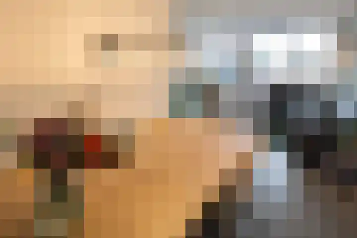 Melissekade 147 Utrecht thumbnail 9