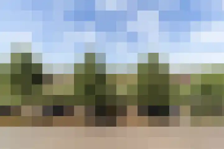 Melissekade 180 Utrecht thumbnail 18