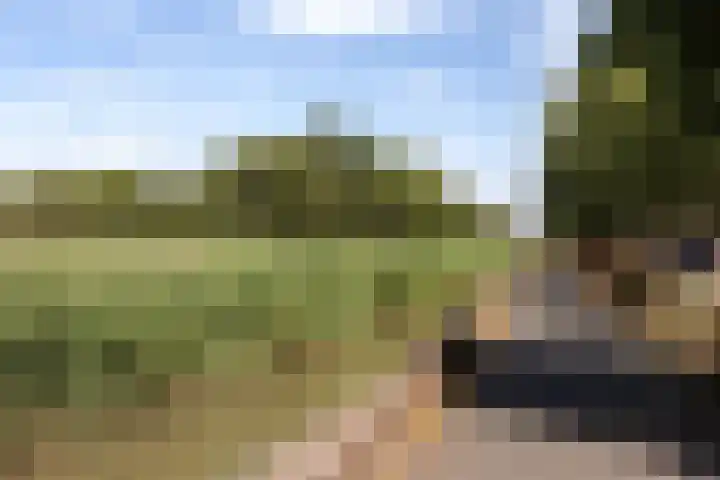 Melissekade 180 Utrecht thumbnail 19