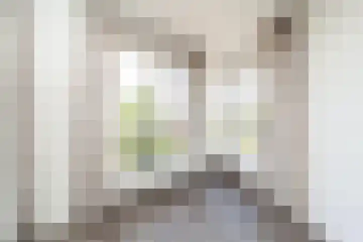Melissekade 180 Utrecht thumbnail 27