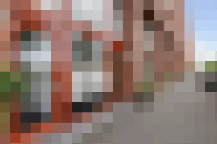 Melissekade 183 Utrecht thumbnail 4