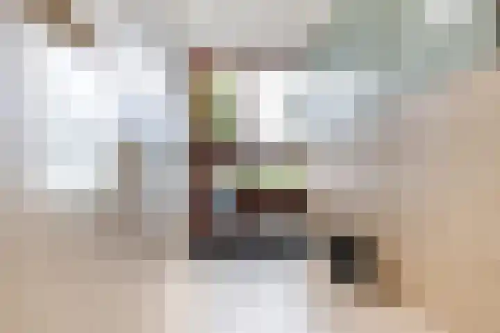 Melissekade 183 Utrecht thumbnail 6