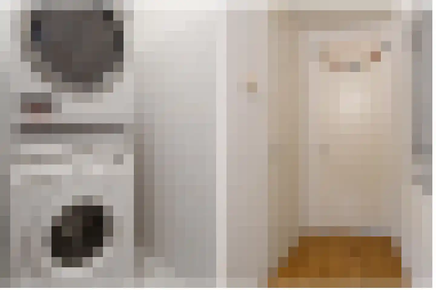 Melissekade 205 Utrecht thumbnail 19