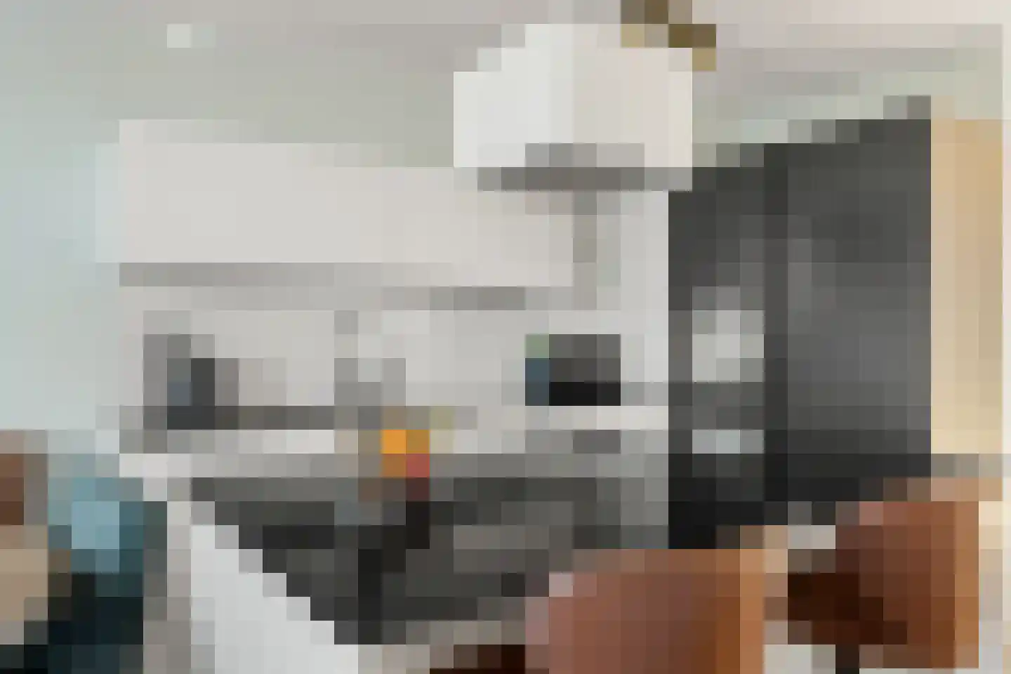 Melissekade 206 Utrecht thumbnail 13
