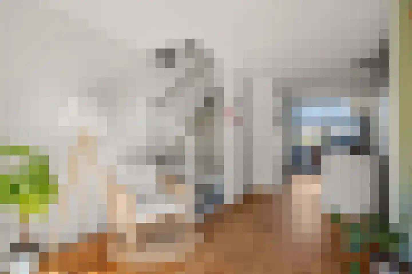Melissekade 206 Utrecht thumbnail 33
