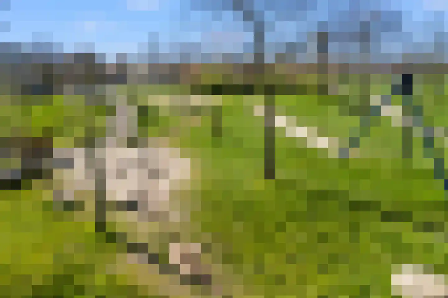 Melissekade 206 Utrecht thumbnail 56