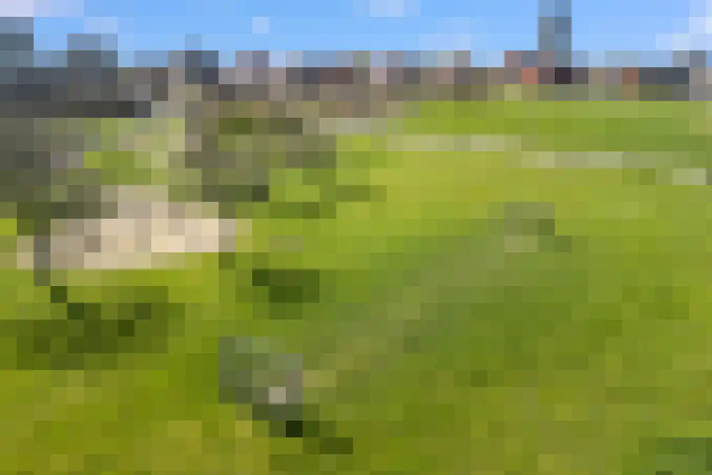 Melissekade 206 Utrecht thumbnail 60