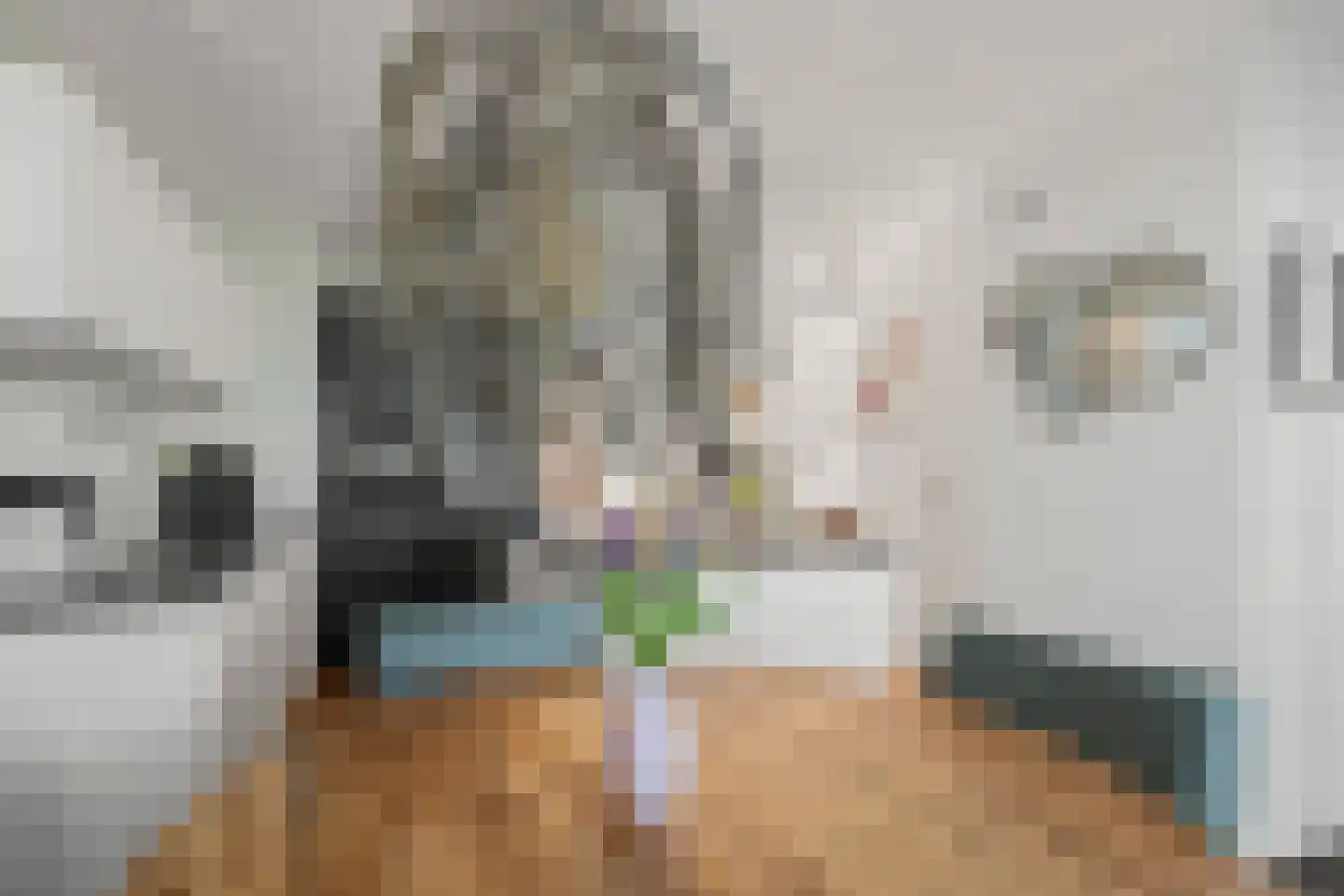 Melissekade 206 Utrecht thumbnail 9