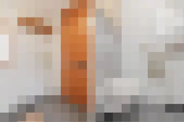 Melissekade 221 Utrecht thumbnail 20