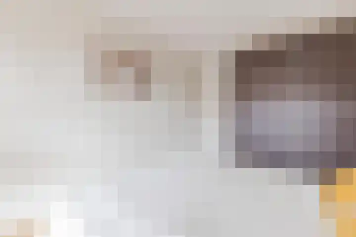 Melissekade 221 Utrecht thumbnail 23