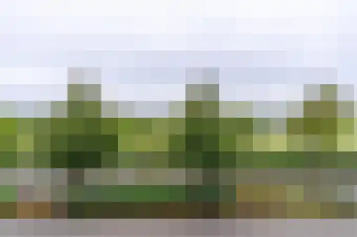 Melissekade 221 Utrecht thumbnail 29