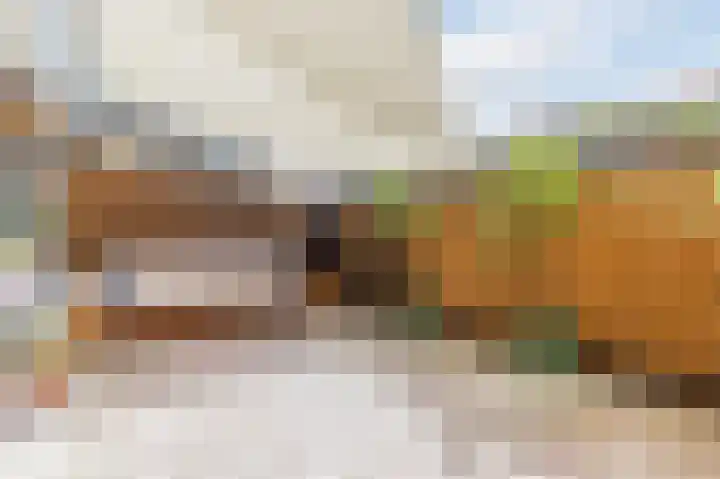 Melissekade 221 Utrecht thumbnail 5