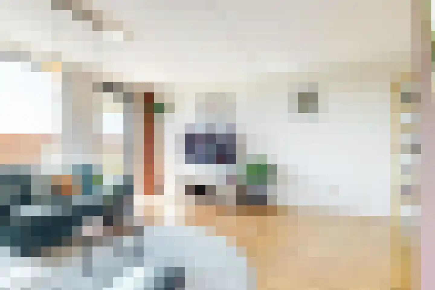 Melissekade 234 Utrecht thumbnail 6