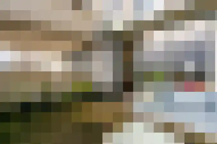 Melissekade 235 Utrecht thumbnail 14