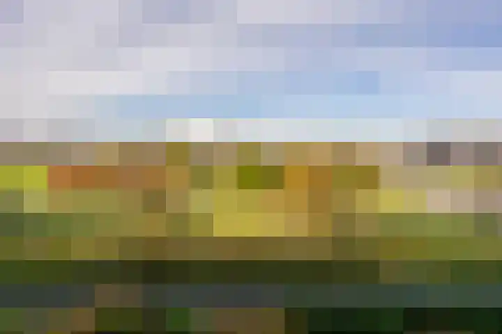 Melissekade 235 Utrecht thumbnail 19