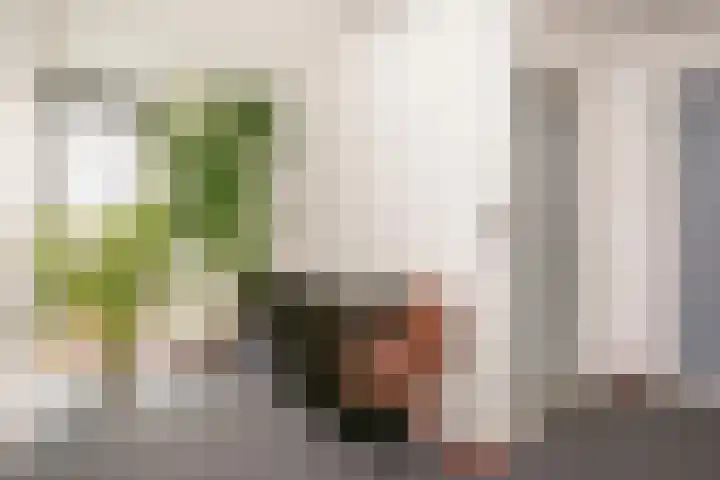 Melissekade 235 Utrecht thumbnail 28
