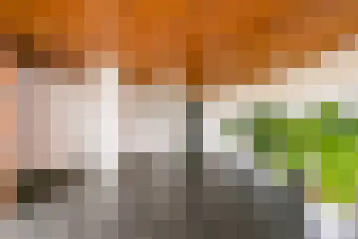 Melissekade 235 Utrecht thumbnail 30
