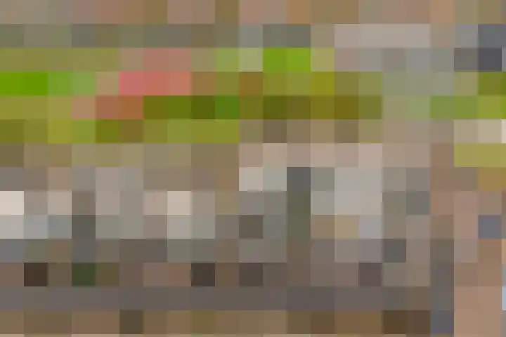 Melissekade 235 Utrecht thumbnail 35
