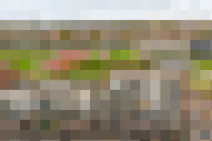 Melissekade 235 Utrecht thumbnail 36