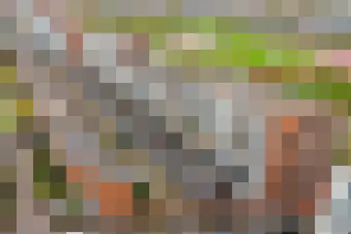 Melissekade 235 Utrecht thumbnail 38