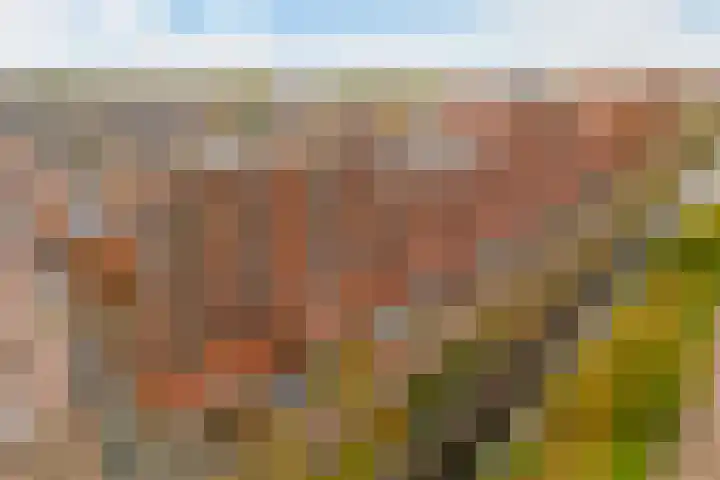 Melissekade 235 Utrecht thumbnail 39