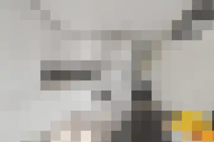 Melissekade 343 Utrecht thumbnail 11