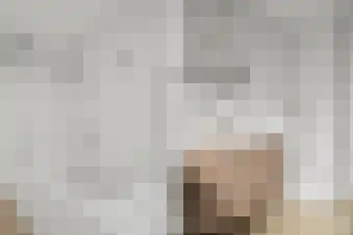 Melissekade 343 Utrecht thumbnail 26
