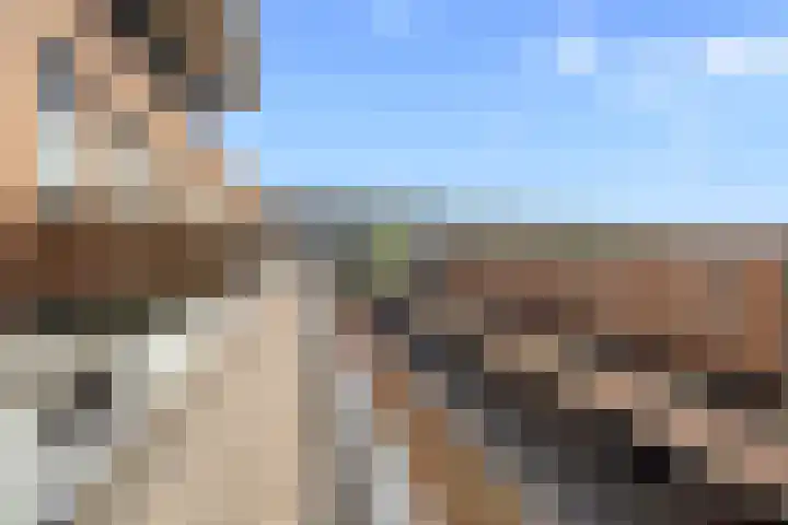 Melissekade 343 Utrecht thumbnail 35