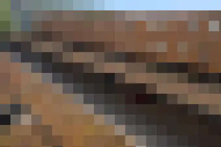 Melissekade 343 Utrecht thumbnail 36