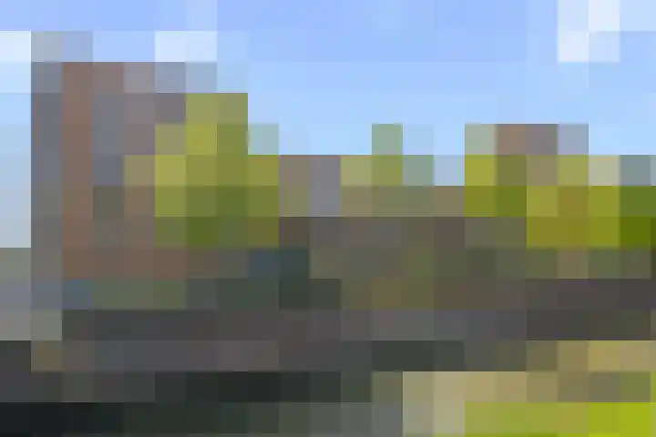 Melissekade 343 Utrecht thumbnail 41