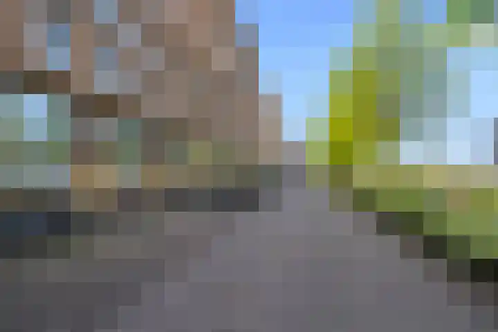 Melissekade 343 Utrecht thumbnail 43