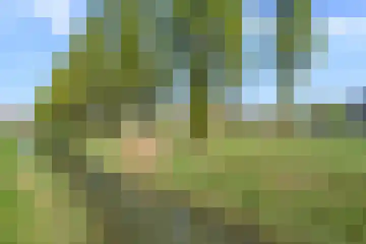 Melissekade 343 Utrecht thumbnail 44