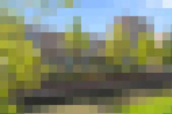 Melissekade 343 Utrecht thumbnail 56