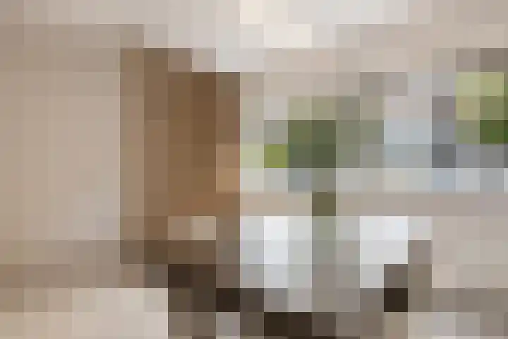 Melissekade 353 Utrecht thumbnail 11
