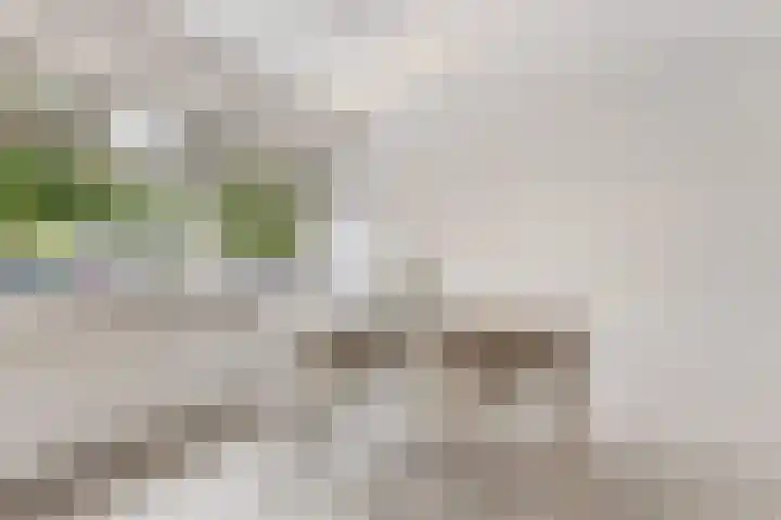 Melissekade 353 Utrecht thumbnail 12