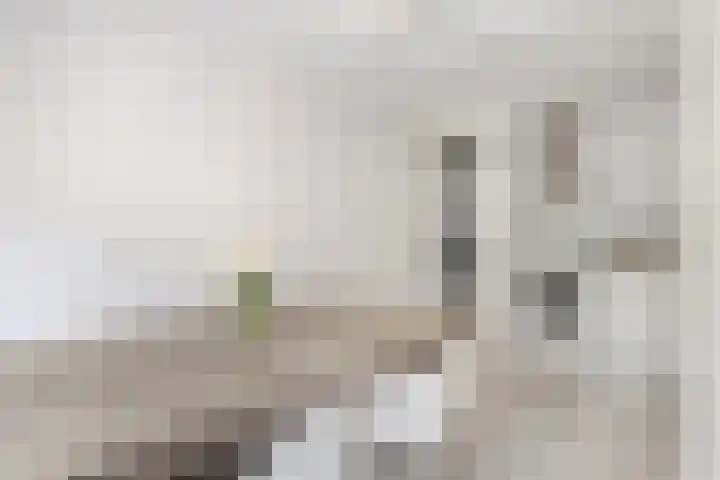 Melissekade 353 Utrecht thumbnail 13
